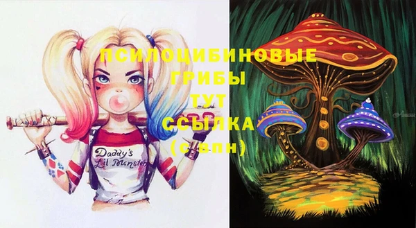 дурь Абаза