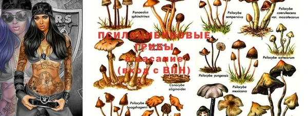 сатива Нея