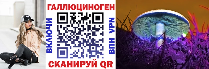 omg сайт  Ступино  Галлюциногенные грибы GOLDEN TEACHER 